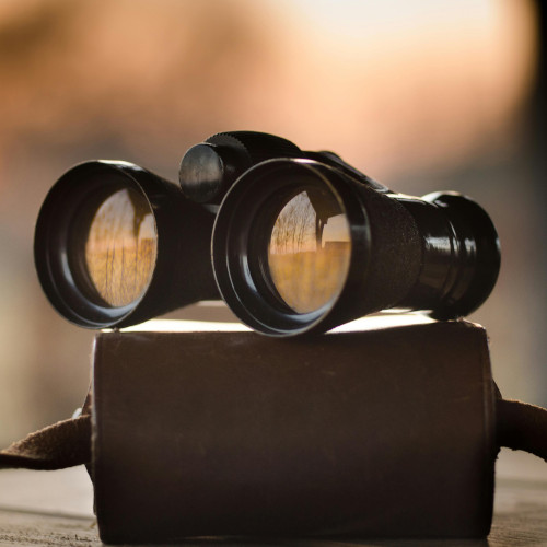 A set of binoculars resting on their case