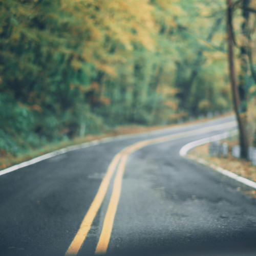 A winding road with trees on each side